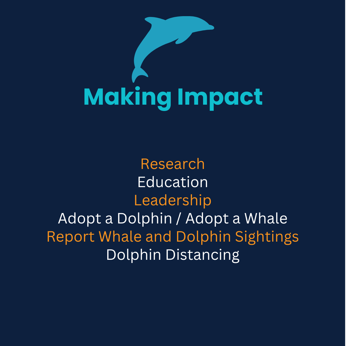 Dolphin-impact